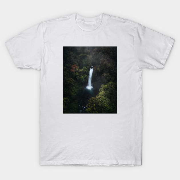 Waterfall T-Shirt by withluke